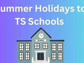 Summer Holidays 2023